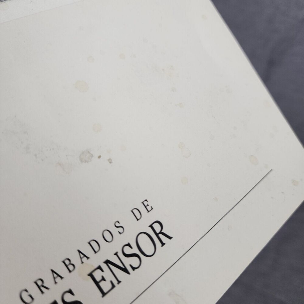 The Prints of James Ensor Los Grabados De Oaxaca Art Institute Collection Book - Picture 3 of 8